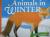 Animals in Winter