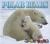Polar Bears