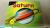 Saturn [Scholastic] Revised Edition