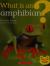 What is an Amphibian? What is a Reptile?