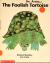 The foolish tortoise