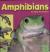 Amphibians