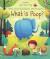 Very First Questions and Answers What Is Poop?