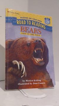 Bears Life in the Wild