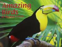 Amazing Birds of the Rain Forest