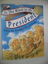 So You Want to be President
