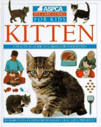 Kitten