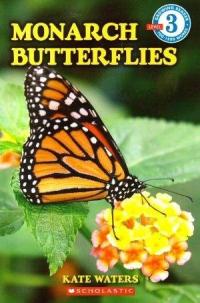 Monarch Butterflies