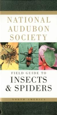 National Audubon Society Field Guide to Insects and Spiders North America