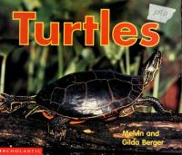 Turtles