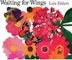 Waiting for Wings