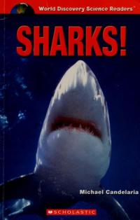 Sharks!