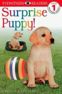 Surprise Puppy!