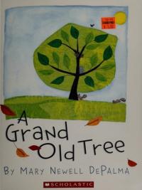 A Grand Old Tree