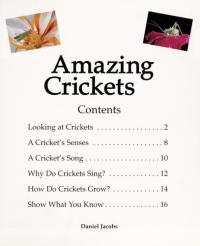 Amazing Crickets