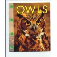 Owls