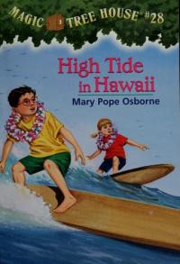 High Tide in Hawaii