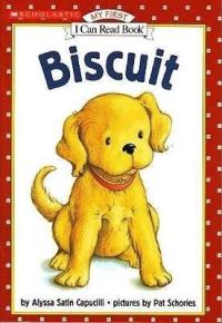 Biscuit