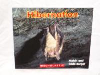 Hibernation