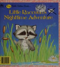 Little Raccoon's Nighttime Adventure