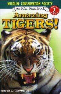 Amazing Tigers!