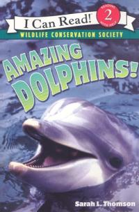 Amazing Dolphins!