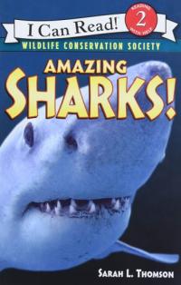 Amazing Sharks!