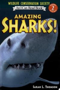 Amazing Sharks!