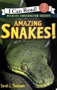 Amazing Snakes!