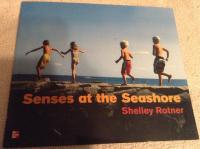 Reading Wonders Literature Big Book: Senses at the Seashore Grade K