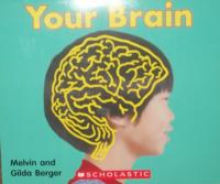 Your Brain