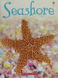 Seashore (Usborne Beginners)
