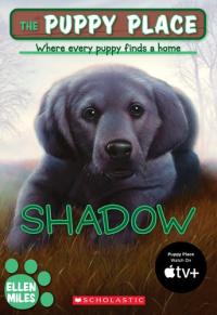 Shadow