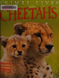 Cheetahs