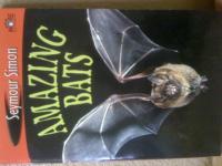Amazing Bats