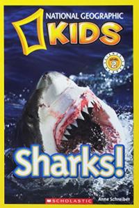 Sharks!