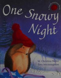 One Snowy Night