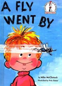 A Fly Went by