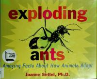 Exploding Ants Amazing Facts About How Animals Adapt