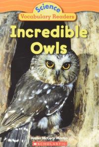 Incredible Owls