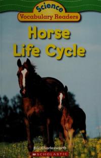 Horse Life Cycle