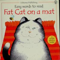 Fat Cat on a Mat