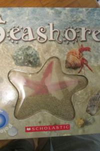 Seashore