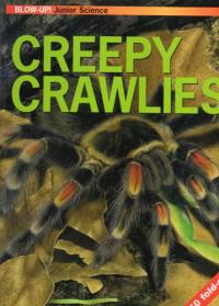 Creepy Crawlies (Blow-up Junior Science)