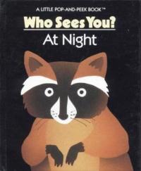 Who Sees You? at Night