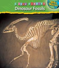 Dinosaur Fossils (I Love Reading: Dino World)