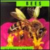 Bees (Animals)