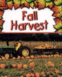 Fall Harvest