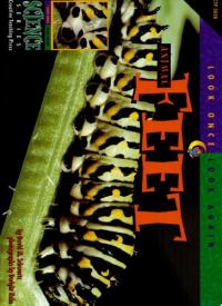 Animal Feet
