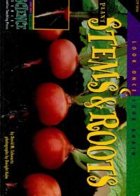 Plant Stems & Roots